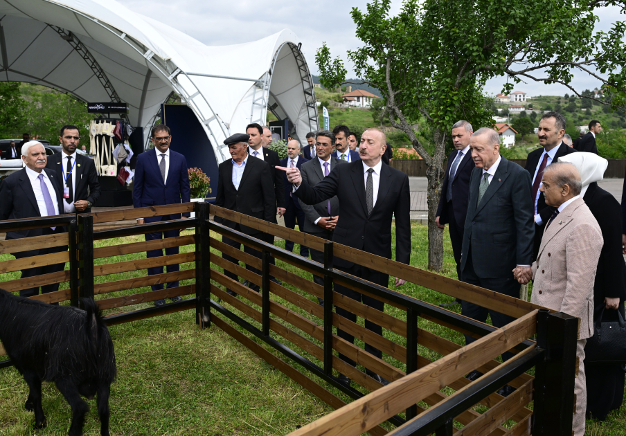 President Ilham Aliyev, President Recep Tayyip Erdoğan, PM Shehbaz Sharif visit promenade in Lachin city (PHOTO/VIDEO)
