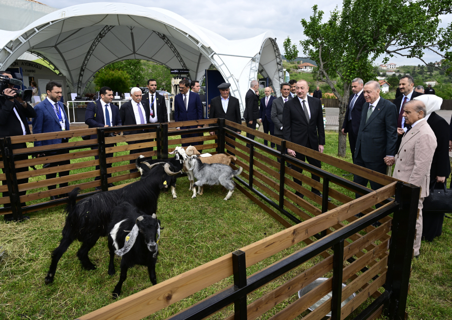 President Ilham Aliyev, President Recep Tayyip Erdoğan, PM Shehbaz Sharif visit promenade in Lachin city (PHOTO/VIDEO)