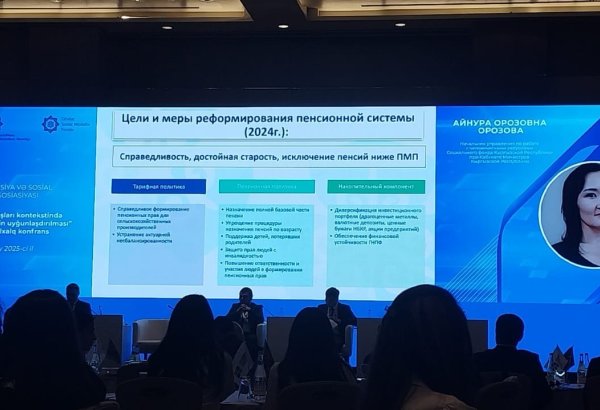 Kyrgyz official spotlights key challenges in digital transformation