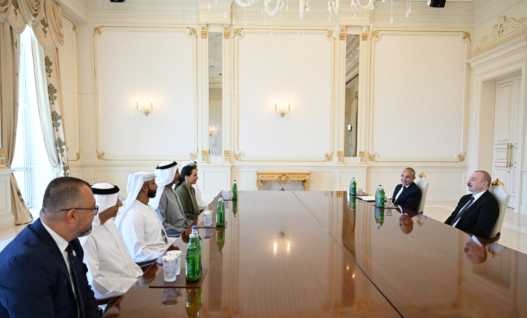 President Ilham Aliyev receives business delegation from United Arab Emirates (PHOTO/VIDEO)