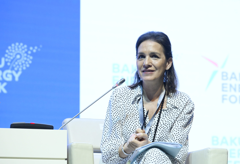 Director of EU Energy Platform set to visit Azerbaijan
