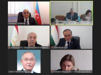 Azerbaijani MPs participate in various meetings of CIS PA (PHOTO)