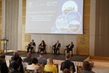 Azerbaijan expresses support for Türkiye bidding to host COP31