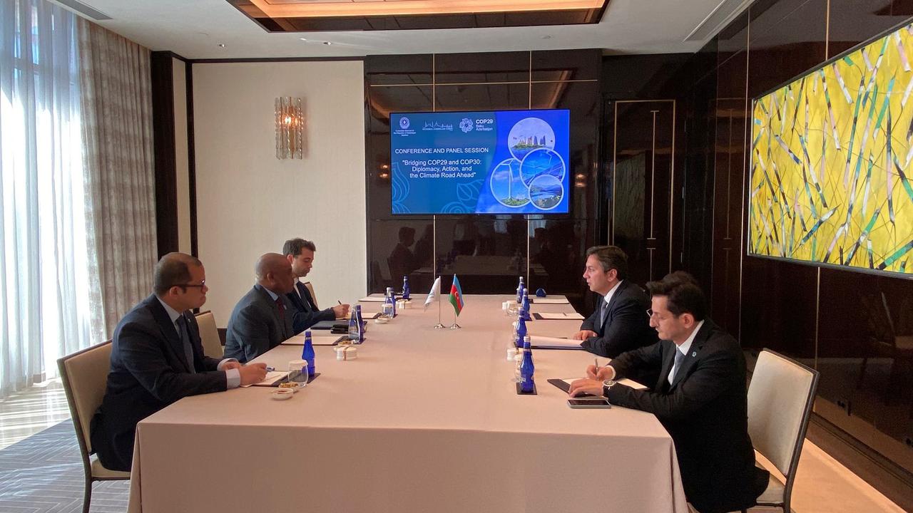 Azerbaijan expresses support for Türkiye bidding to host COP31