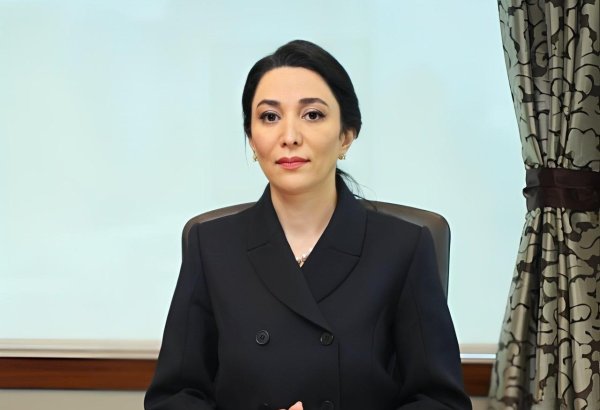 Azerbaijan still suffering from humanitarian aftermath of occupation policy - ombudsperson