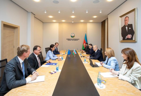 Azerbaijan, European Commission moot developing natural gas and green energy cooperation