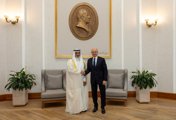 OPEC SecGen hails rational policy of president of Azerbaijan on energy sources development