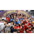 First VP Mehriban Aliyeva shares post on occasion of victory of Azerbaijani national minifootball team (PHOTO)