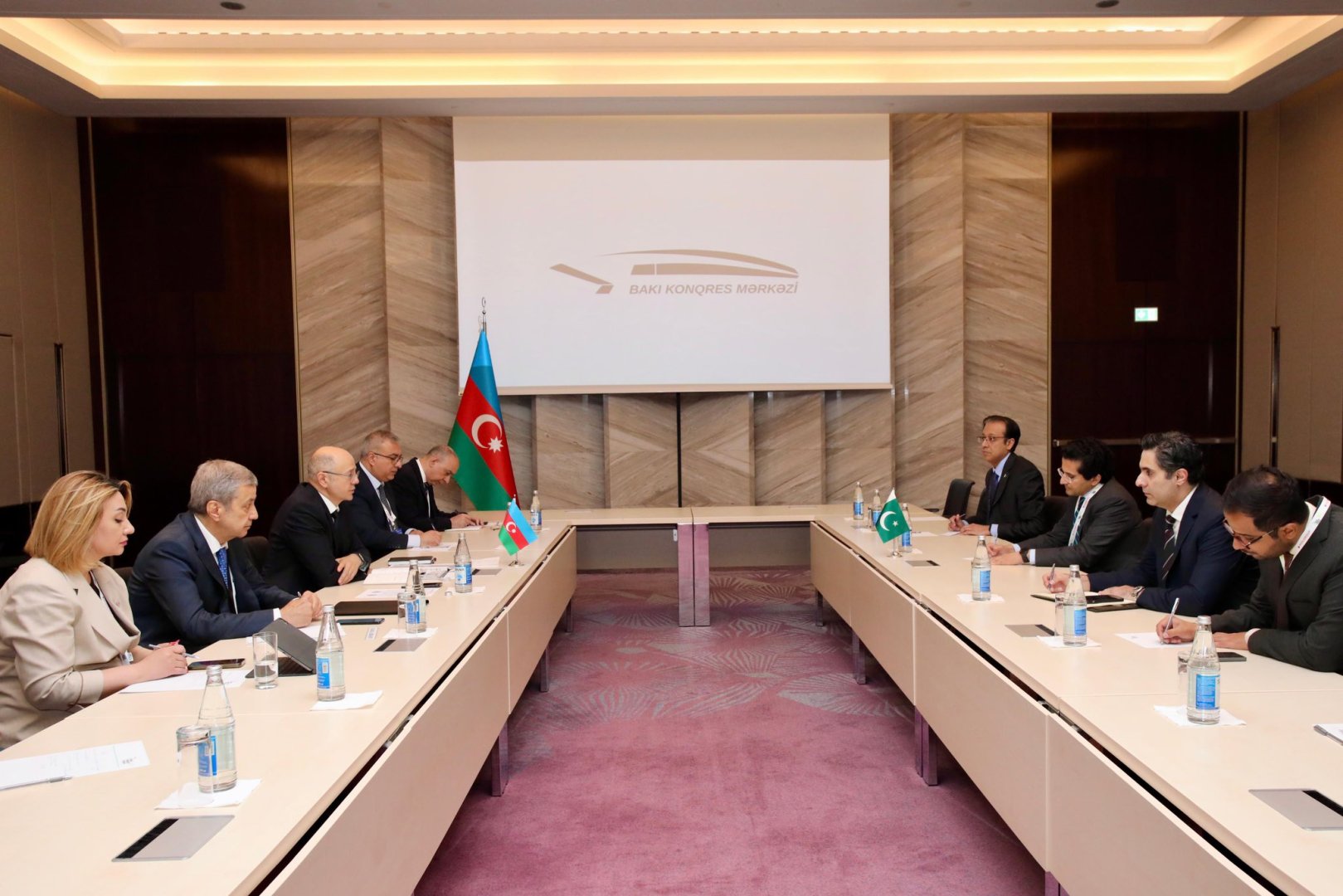 Azerbaijan, Pakistan set sights on expanding energy cooperation (PHOTO)