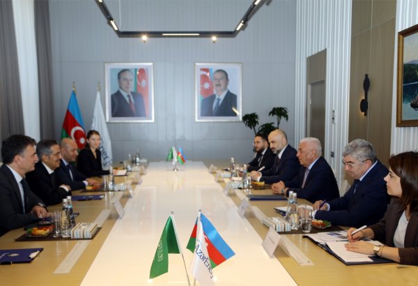 AzerEnergy, ACWA Power advance collaboration on renewable energy projects