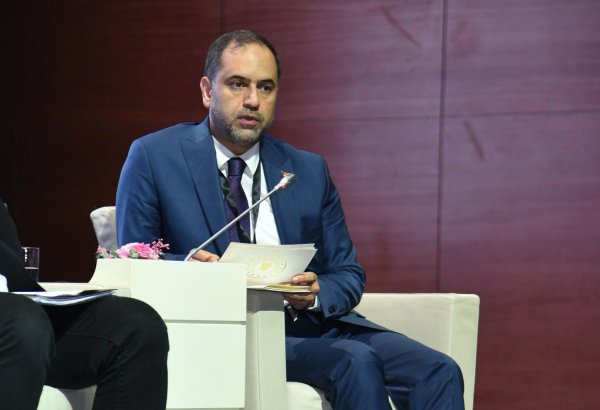 Türkiye plots to make large-scale investments in renewables dev't - official