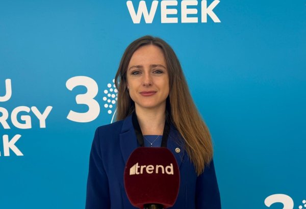 Moldova inviting Azerbaijan to invest in its energy sector - Carolina Novac (Exclusive interview)