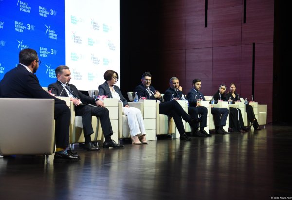 BCG completes feasibility study for Azerbaijan-Türkiye interconnector project - official