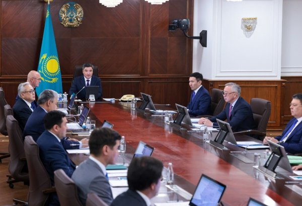 Kazakhstan launches unified digital registry for local producers