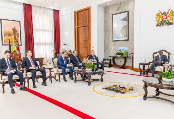Azerbaijan, Kenya focus on partnership for energy and mineral resources (PHOTO)