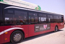 Spring festival “Force of Love” held in Baku (PHOTO)