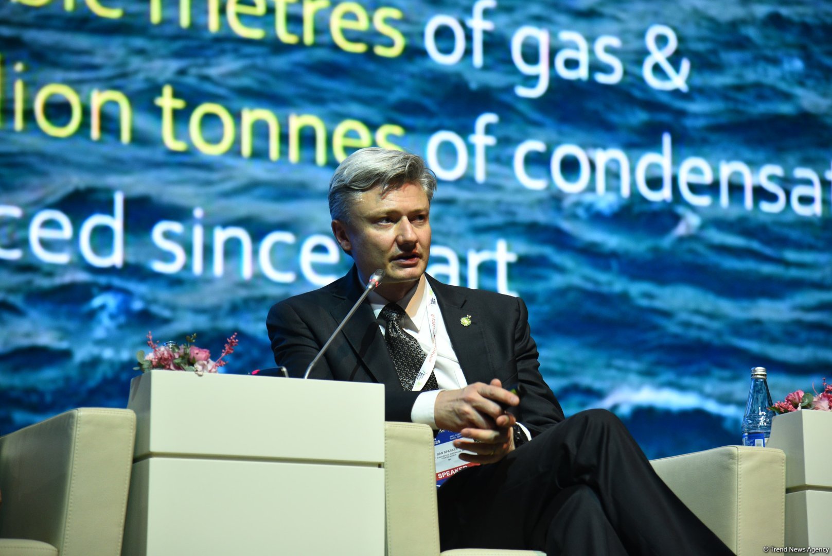 bp intensifies exploration and dev't efforts in Caspian Basin - official