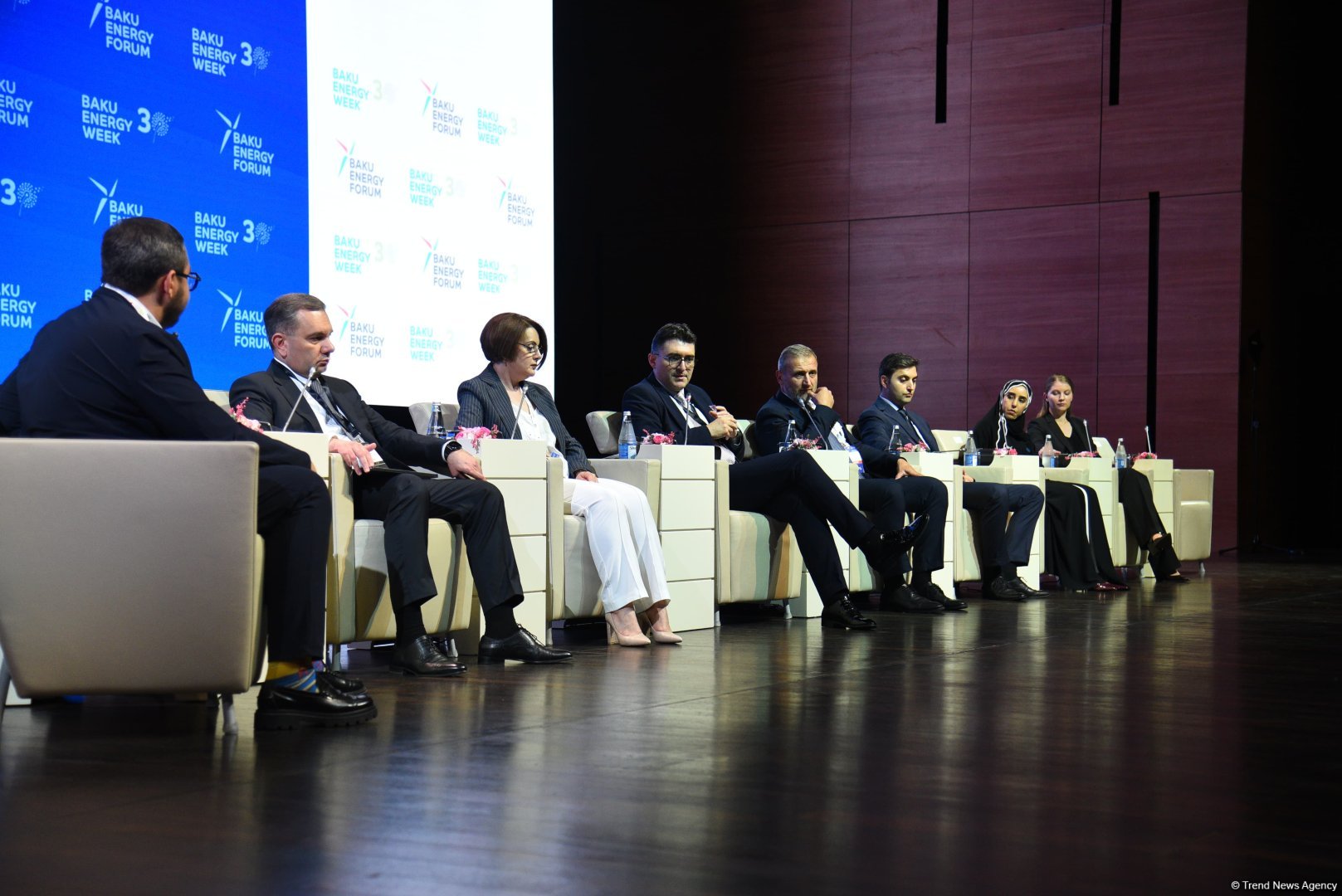 BCG completes feasibility study for Azerbaijan-Türkiye interconnector project - official