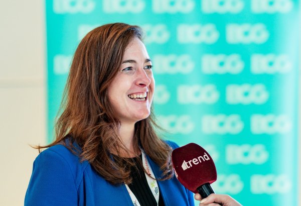 Azerbaijan well positioned to play strategic role in regional energy transition -  BCG Partner & Director Rebecca Fitz