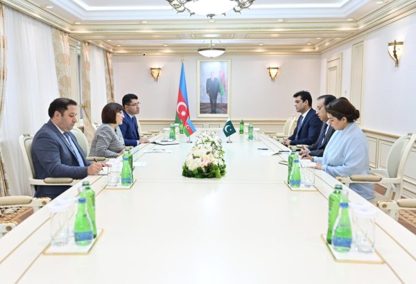 Azerbaijan openly stands in solidarity with Pakistan amid tensions with India - speaker (PHOTO)
