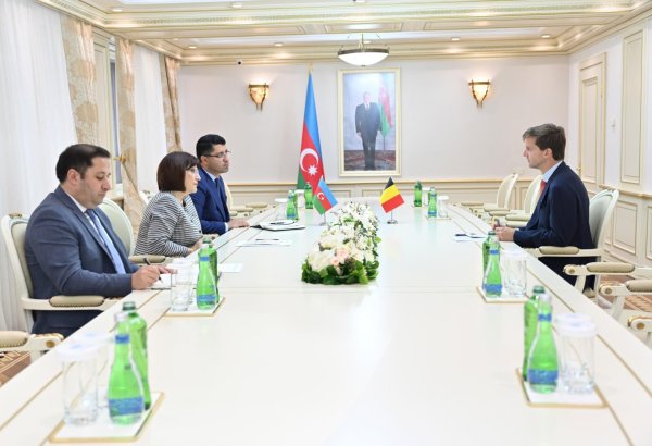 Belgium points to promising avenues for strategic cooperation with Azerbaijan