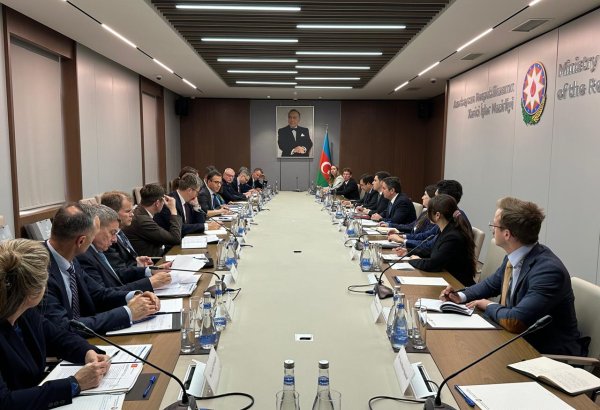Azerbaijan, Nordic and Baltic States explore paths for deeper cooperation (PHOTO)