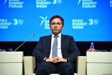 Second day of Baku Energy Forum wraps up (PHOTO)