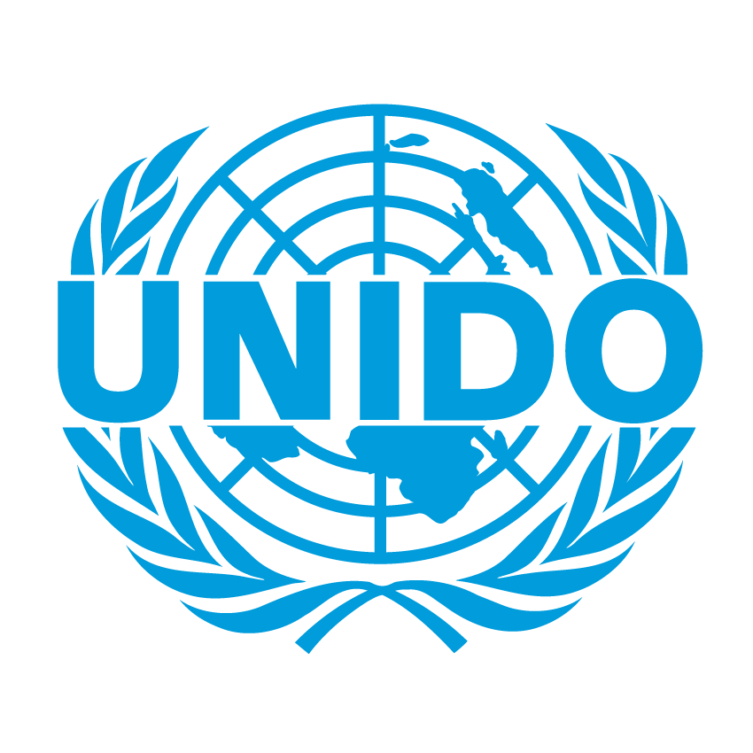 Uzbekistan, UNIDO explore new avenues for project cooperation