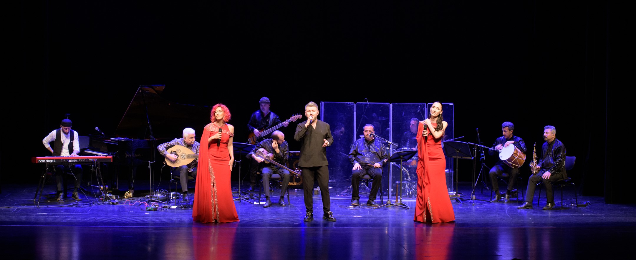 Azerbaijani diaspora holds "Flame Rhythms" concert in Vienna, Austria (PHOTO)