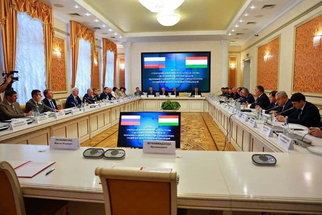 Tajik, Russian free economic zones ink MoU to create joint ventures
