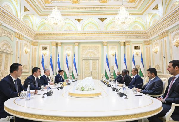 President of Uzbekistan receives international investors