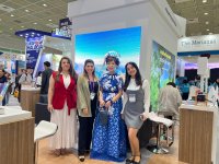 Azerbaijan's tourism potential presented in South Korea (PHOTO)