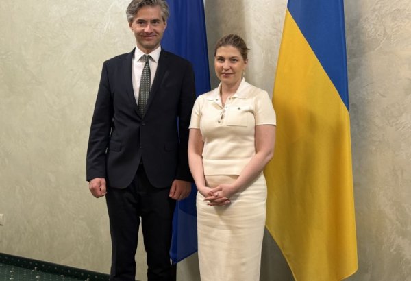 Lithuanian FM pushing for swift progress on Ukraine's EU accession
