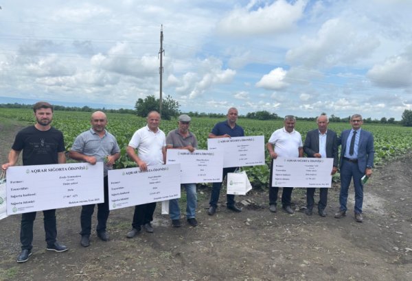 Azerbaijan moves forward with first insurance payouts in tobacco sector damages