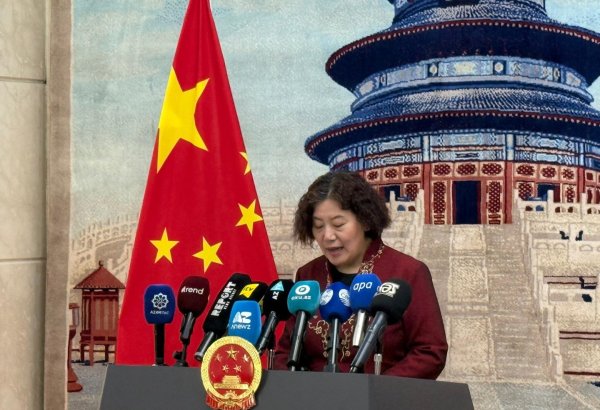 Ambassador praises Azerbaijan's efforts towards China-initiated AI Group of Friends