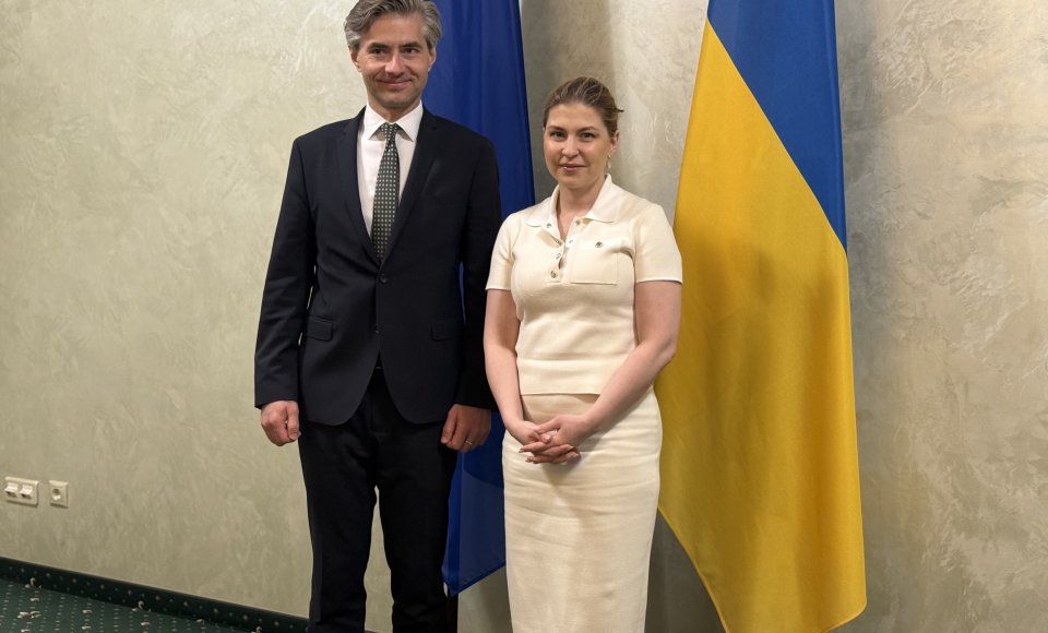 Lithuanian FM pushing for swift progress on Ukraine's EU accession