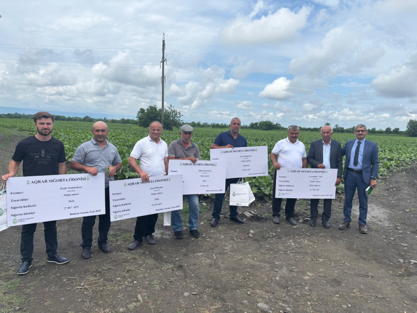 Azerbaijan moves forward with first insurance payouts in tobacco sector damages