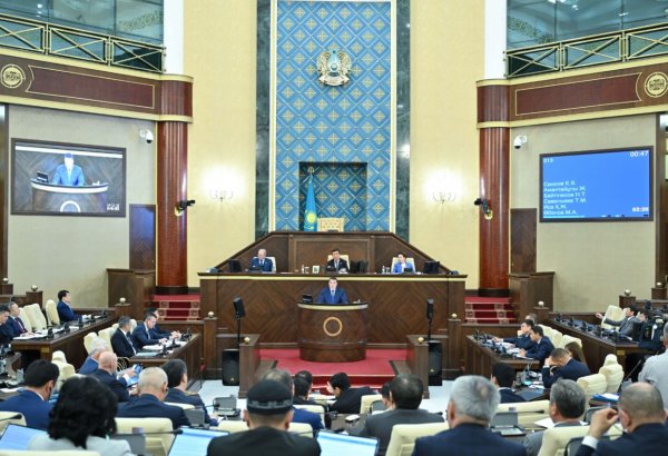 Kazakhstan to grant amnesty for minor crimes and vulnerable groups
