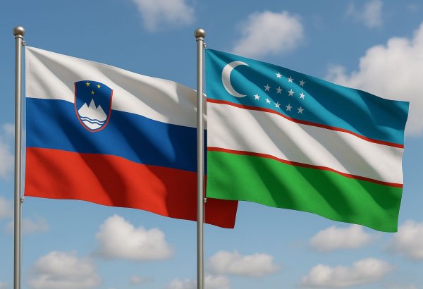Slovenia eyes Uzbekistan as key bridge to Central Asia, Ministry says (Exclusive)