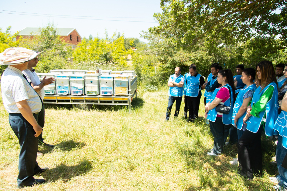 Initiated by VP of Heydar Aliyev Foundation, Leyla Aliyeva, training phase of “Young beekeeper” project concludes in Khizi district (PHOTO)