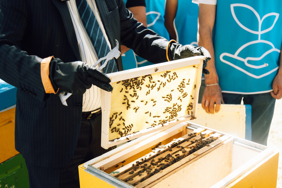 Initiated by VP of Heydar Aliyev Foundation, Leyla Aliyeva, training phase of “Young beekeeper” project concludes in Khizi district (PHOTO)