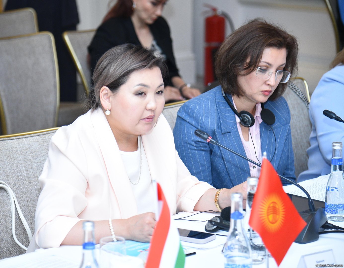 Kyrgyz official discloses nuts and bolts of joint social support efforts