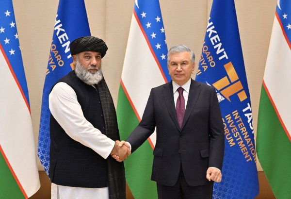 Uzbekistan-Afghanistan talks picking out fresh teaming horizons