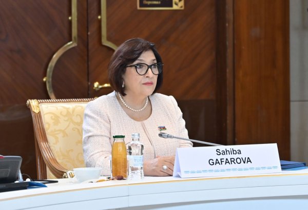Azerbaijan's parliamentary speaker takes stock of TURKPA's doings