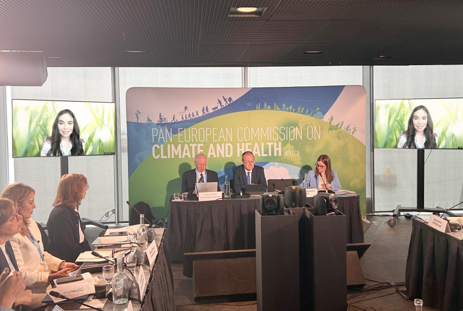 Vice-President of Heydar Aliyev Foundation Leyla Aliyeva joins high-level WHO climate and health event via video conference (PHOTO)