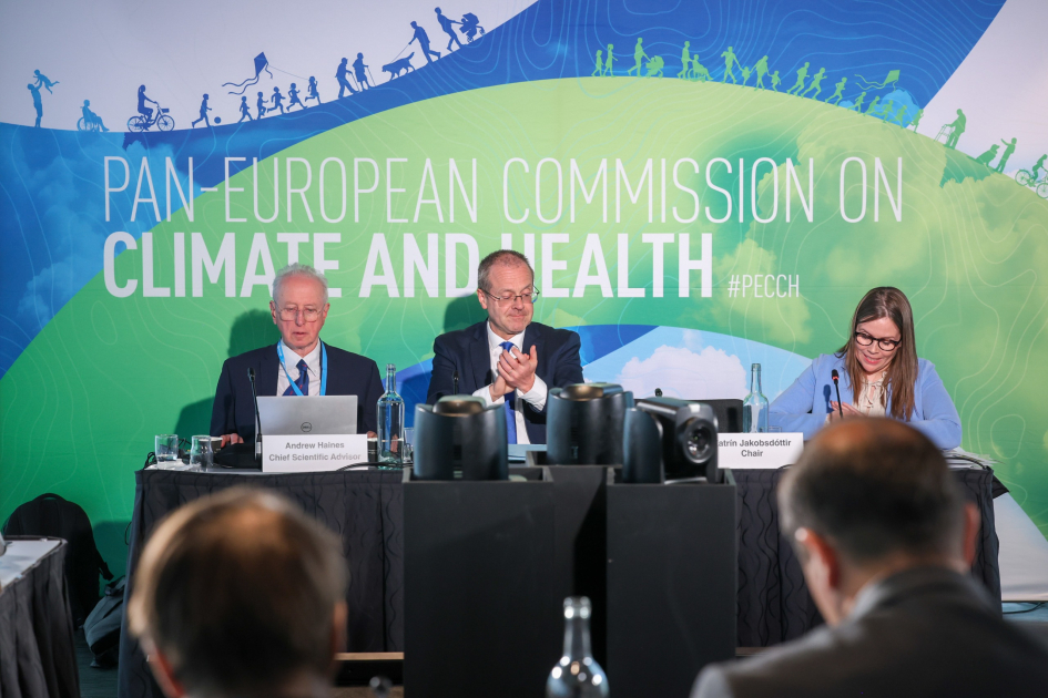 Vice-President of Heydar Aliyev Foundation Leyla Aliyeva joins high-level WHO climate and health event via video conference (PHOTO)