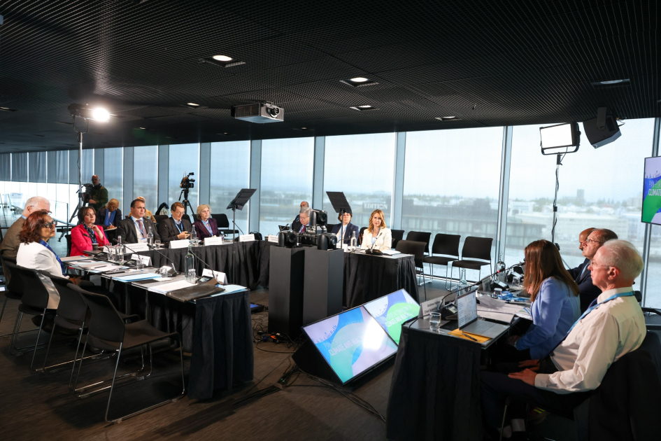 Vice-President of Heydar Aliyev Foundation Leyla Aliyeva joins high-level WHO climate and health event via video conference (PHOTO)