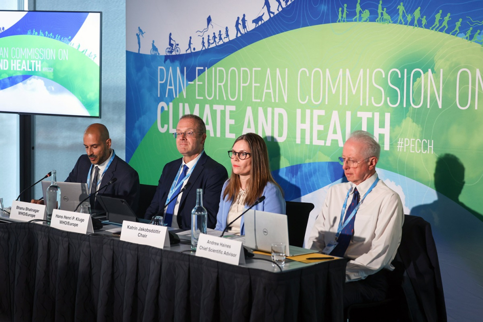 Vice-President of Heydar Aliyev Foundation Leyla Aliyeva joins high-level WHO climate and health event via video conference (PHOTO)