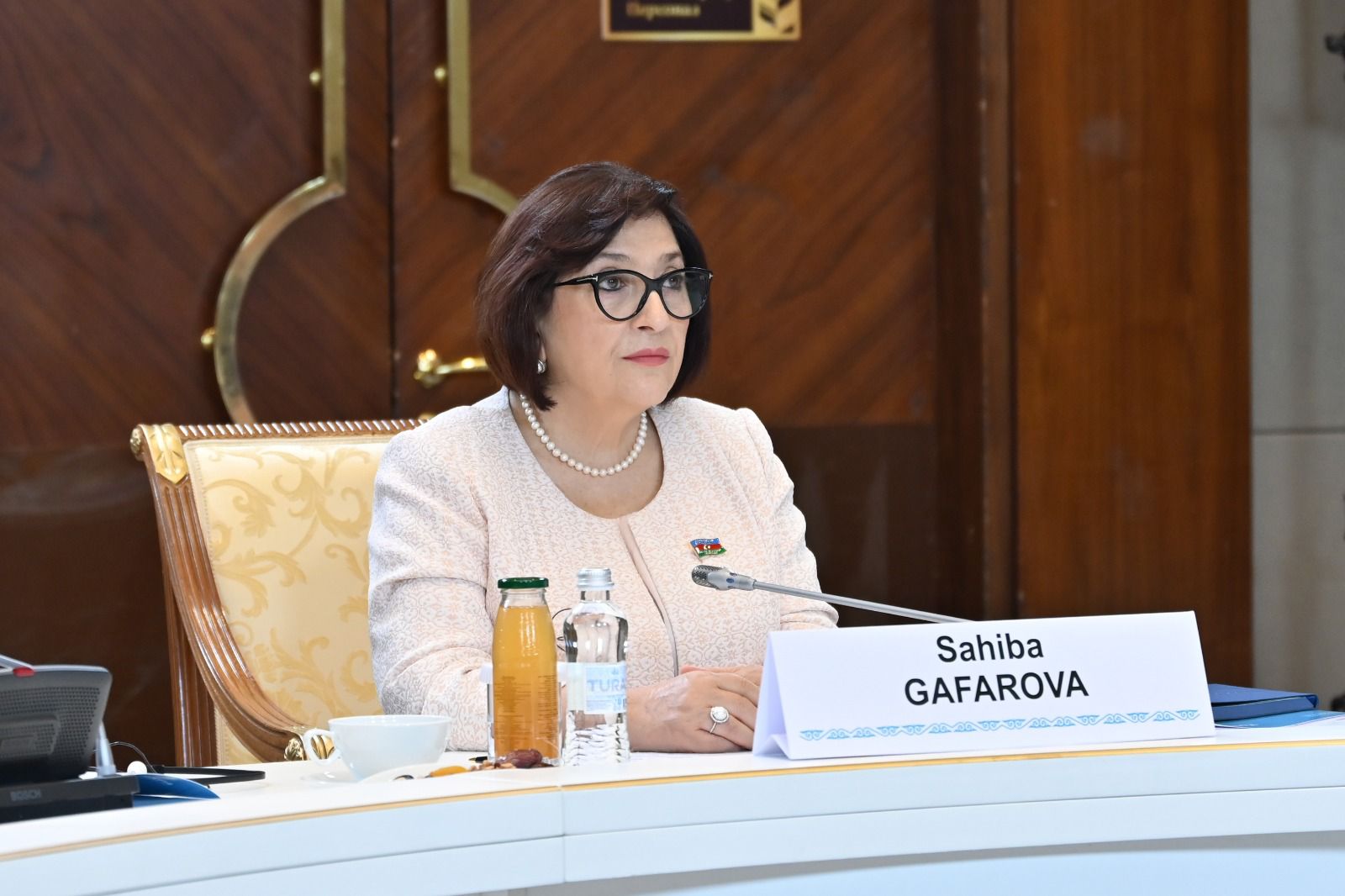 Azerbaijan's parliamentary speaker takes stock of TURKPA's doings