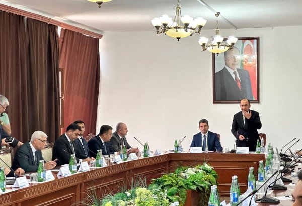 Azerbaijan prioritizes biodiversity restoration in liberated territories - deputy minister